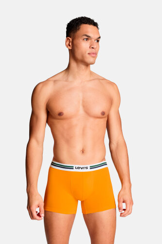 Levi's Bokserice Dvopak