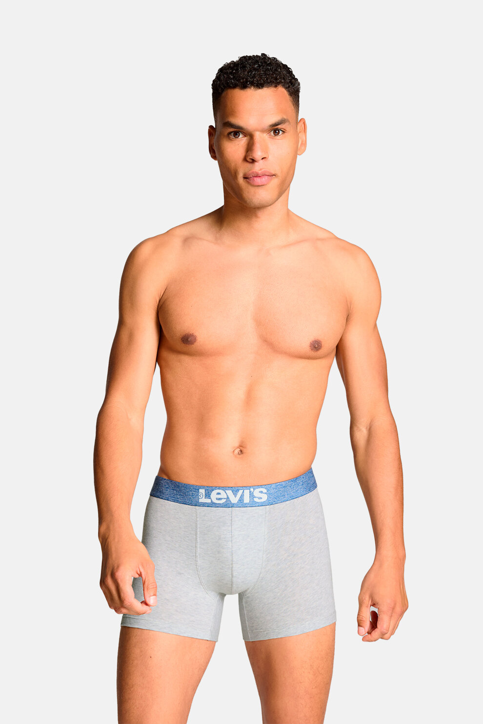 MUŠKARCI - Donje rublje - Levi's bokserice - Bokserice - Višebojna