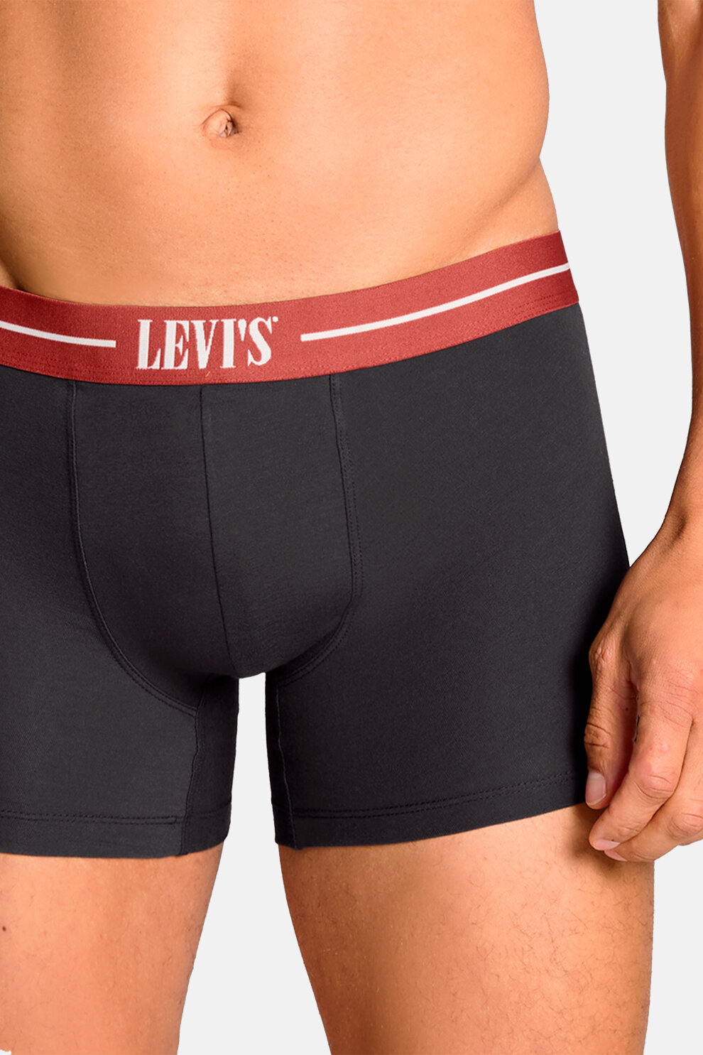 MUŠKARCI - Donje rublje - Levi's bokserice - Bokserice - Višebojna