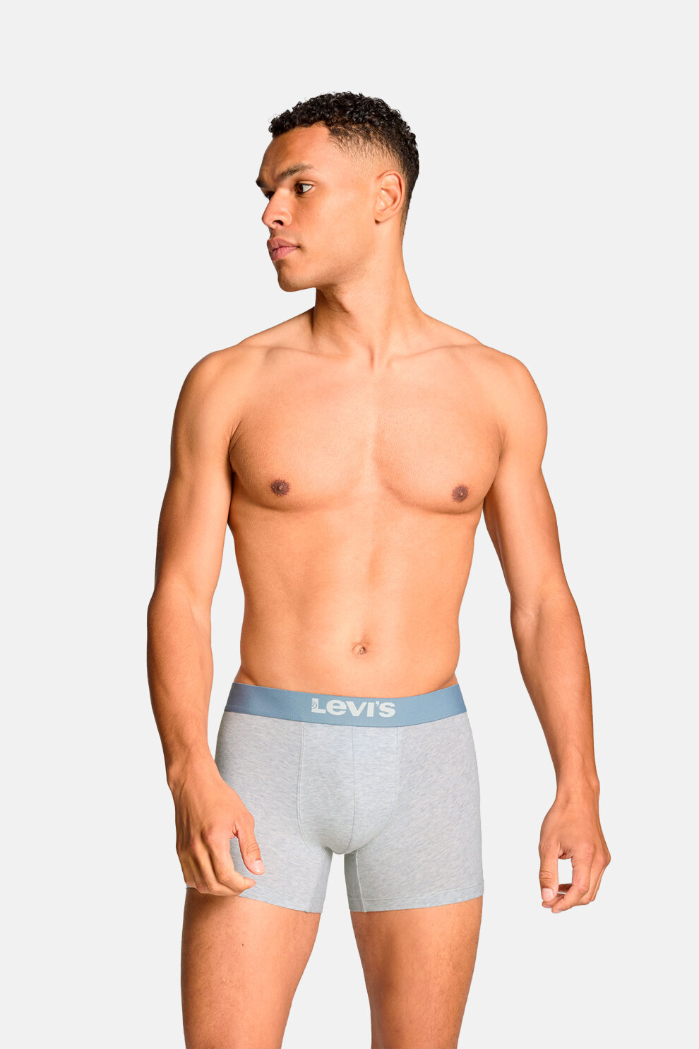 MUŠKARCI - Donje rublje - Levi's bokserice - Bokserice - Višebojna