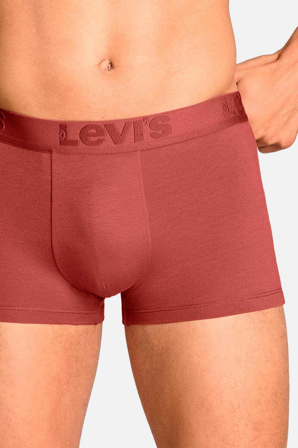 MUŠKARCI - Donje rublje - Levi's bokserice - Bokserice - Višebojna