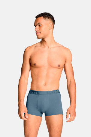 MUŠKARCI - Donje rublje - Levi's bokserice - Bokserice - Višebojna