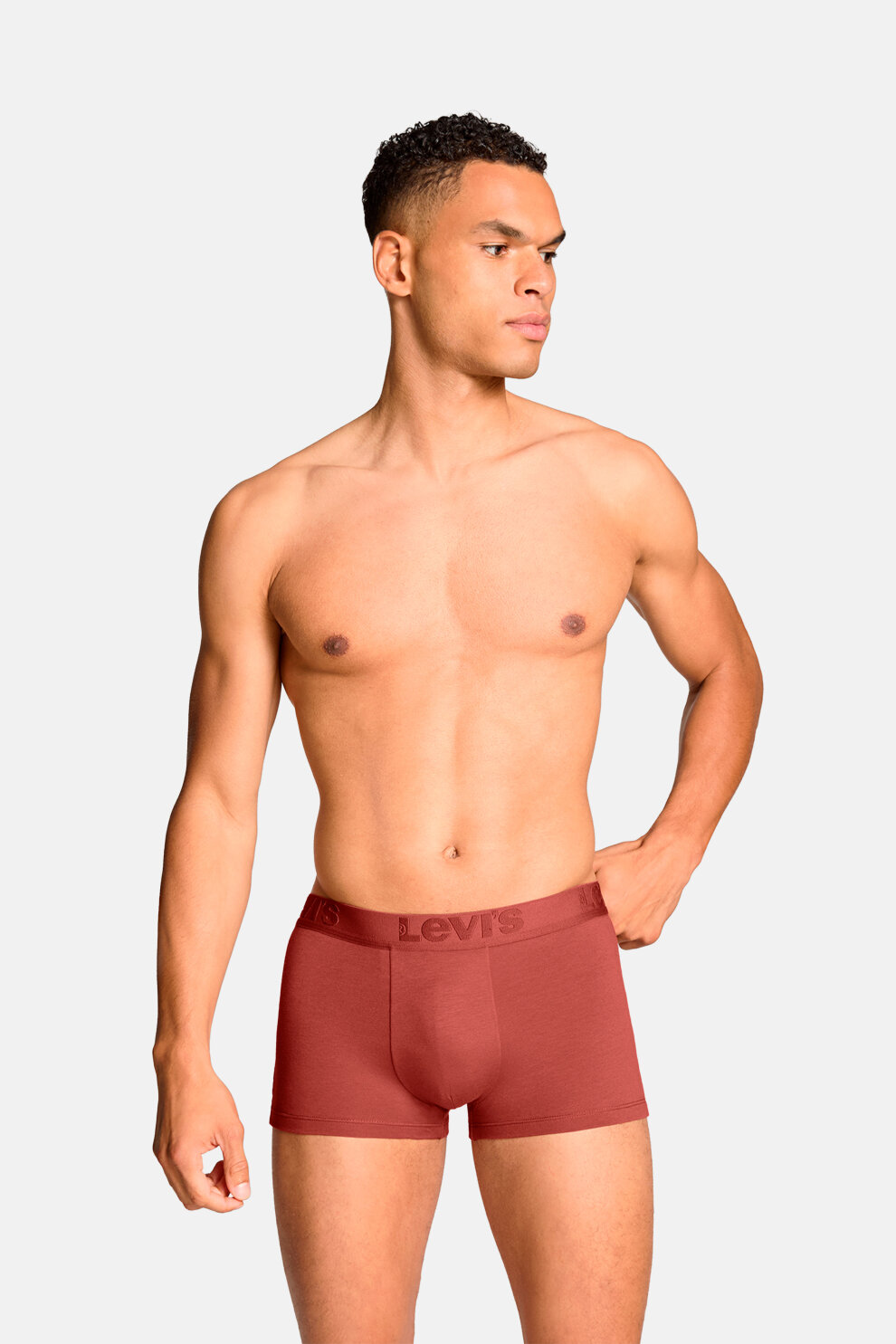 MUŠKARCI - Donje rublje - Levi's bokserice - Bokserice - Višebojna