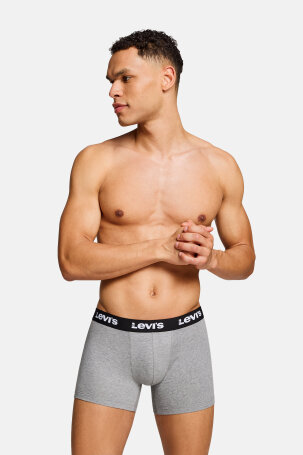 MUŠKARCI - Donje rublje - Levi's dvopak bokserice - Bokserice - Siva