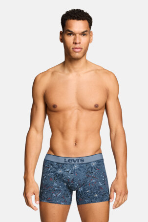 MUŠKARCI - Donje rublje - Levi's bokserice dvopak - Bokserice - Višebojna